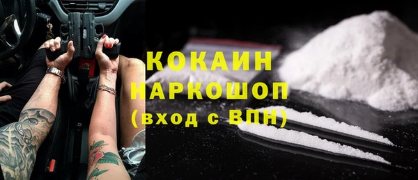 стафф Каменка