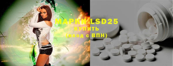 гашик Инсар
