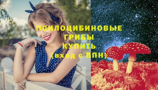 стафф Каменка