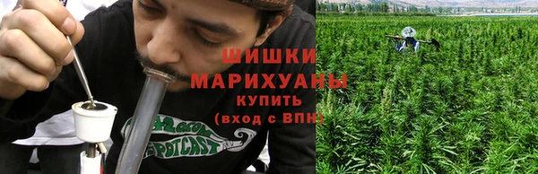 мдпв Иннополис
