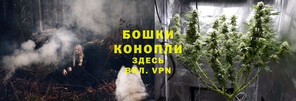 гидропоника Каменногорск