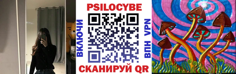 Псилоцибиновые грибы GOLDEN TEACHER Купить закладки Биробиджан